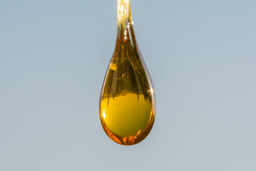 drop of kannaway cbd oil
